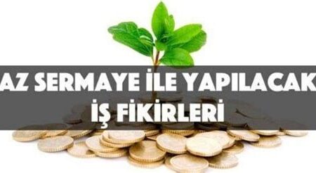 Düşük Yatırımlı Ek İş Fikirleri